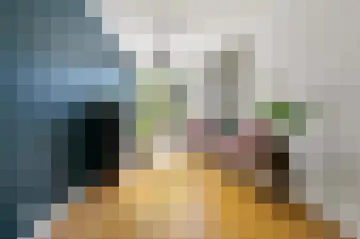 Larikslaan 3 Rijswijk thumbnail 19