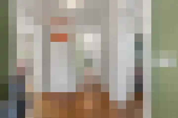 Larikslaan 3 Rijswijk thumbnail 21