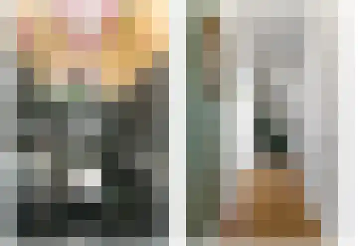 Larikslaan 3 Rijswijk thumbnail 22