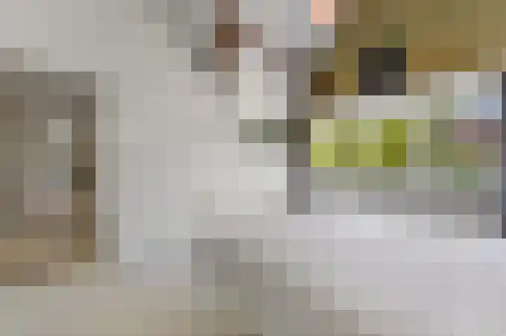 Larikslaan 3 Rijswijk thumbnail 24