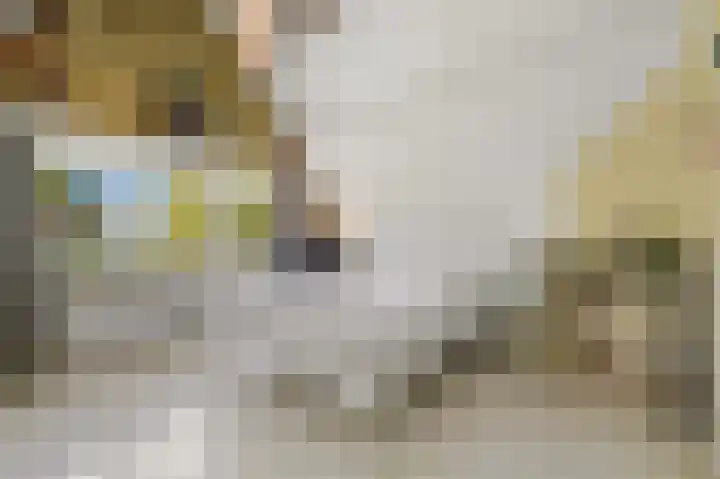 Larikslaan 3 Rijswijk thumbnail 25