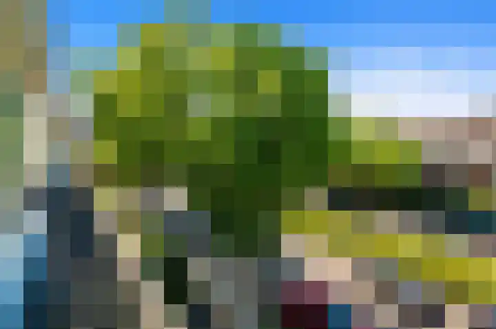 Larikslaan 3 Rijswijk thumbnail 27