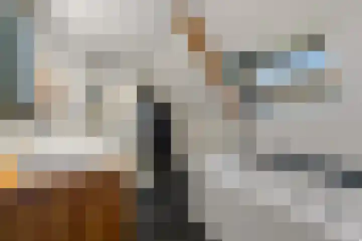 Larikslaan 3 Rijswijk thumbnail 29