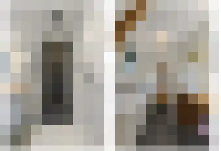 Larikslaan 3 Rijswijk thumbnail 31
