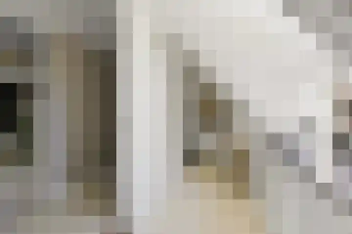Larikslaan 3 Rijswijk thumbnail 33