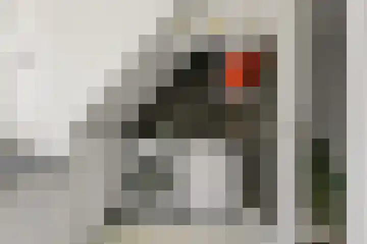 Larikslaan 3 Rijswijk thumbnail 34