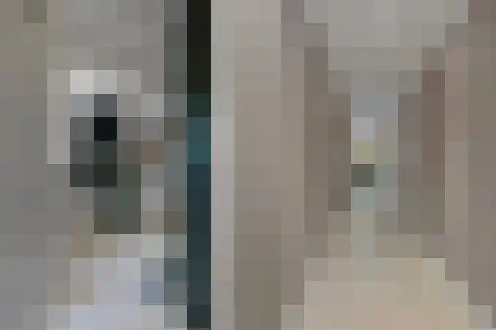 Larikslaan 3 Rijswijk thumbnail 35