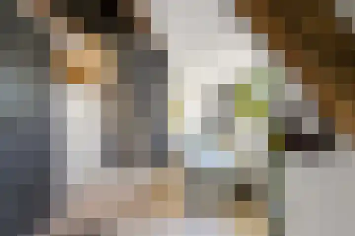 Larikslaan 3 Rijswijk thumbnail 37