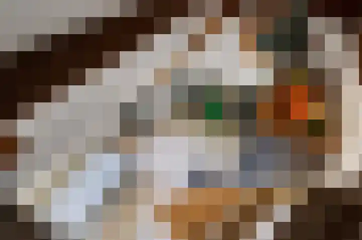 Larikslaan 3 Rijswijk thumbnail 38