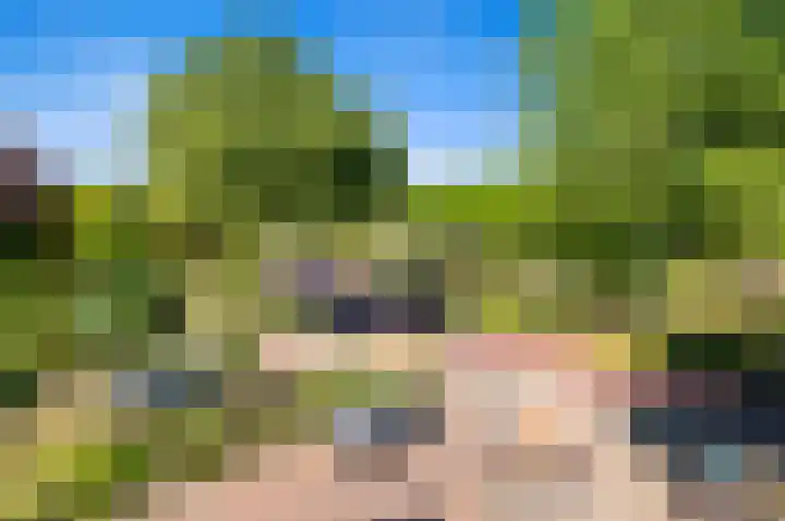 Larikslaan 3 Rijswijk thumbnail 39