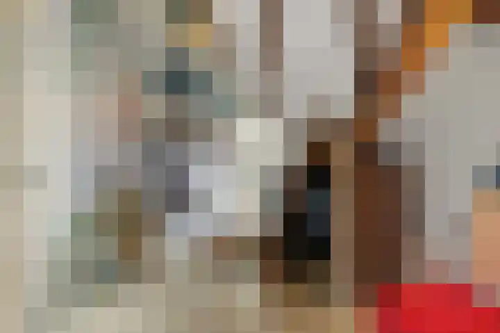 Larikslaan 3 Rijswijk thumbnail 40
