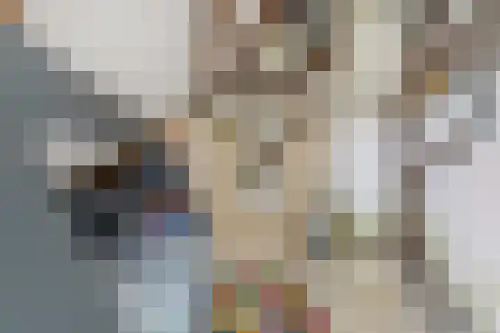 Larikslaan 3 Rijswijk thumbnail 41