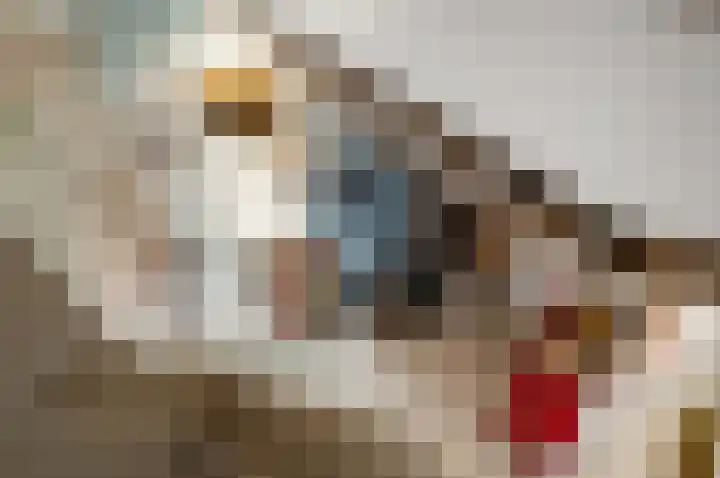 Larikslaan 3 Rijswijk thumbnail 42