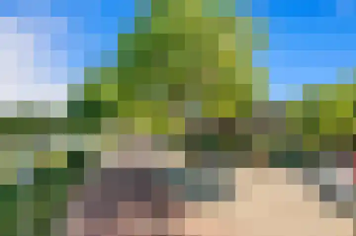 Larikslaan 3 Rijswijk thumbnail 49