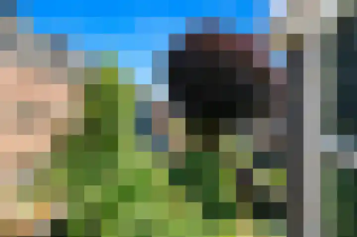 Larikslaan 3 Rijswijk thumbnail 50