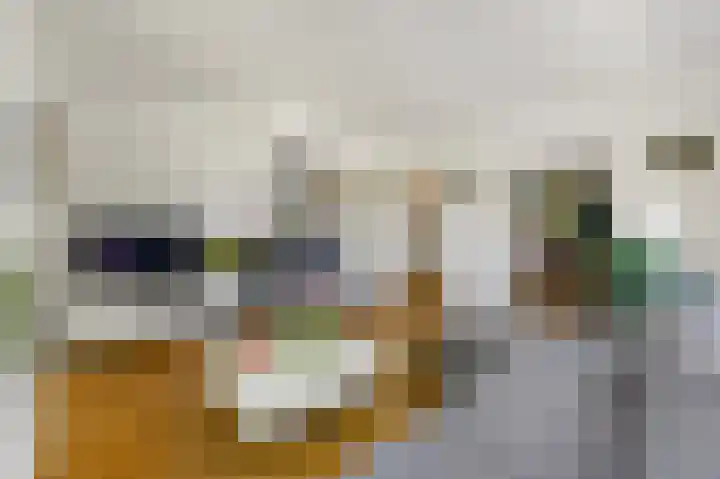 Larikslaan 3 Rijswijk thumbnail 8