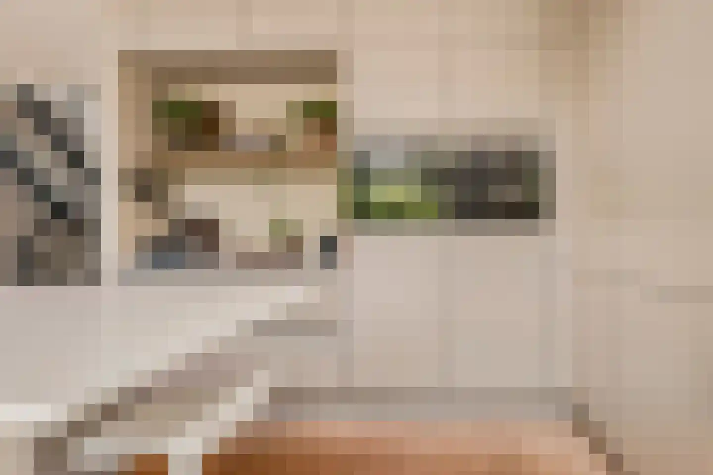 Larikslaan 33 Amsterdam thumbnail 19