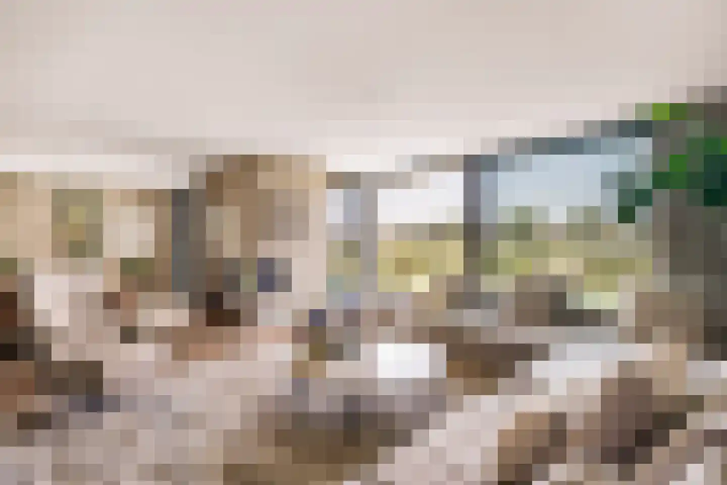 Larikslaan 33 Amsterdam thumbnail 7