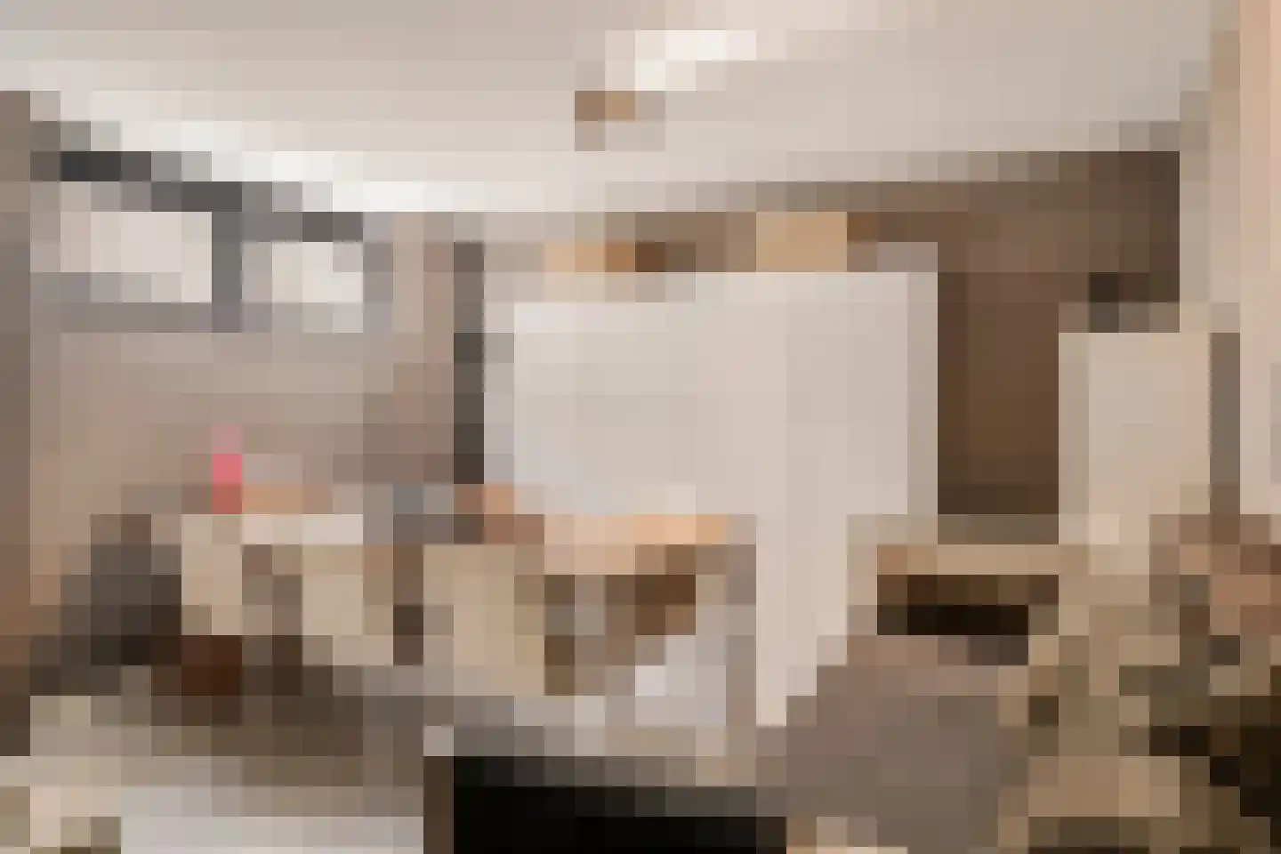 Larikslaan 33 Amsterdam thumbnail 76