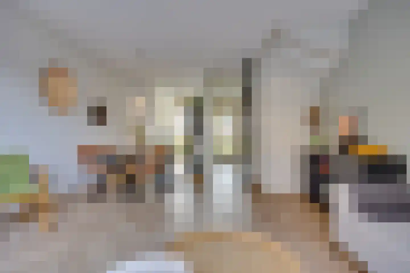 Larikslaan 4 t Leusden thumbnail 11