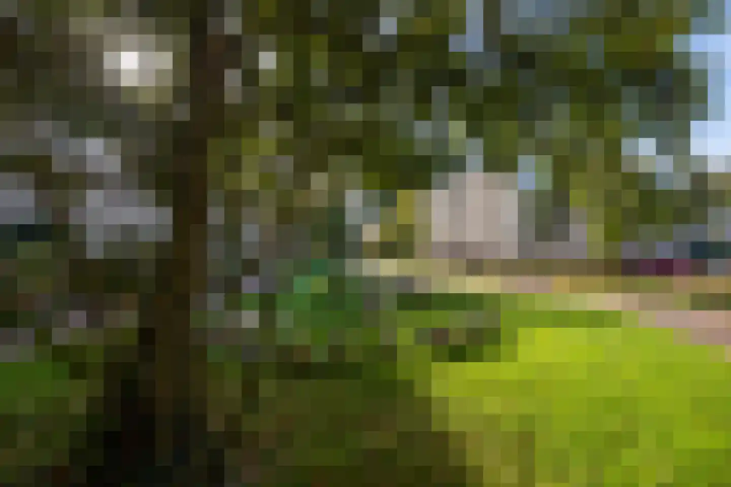 Larikslaan 4 t Leusden thumbnail 33