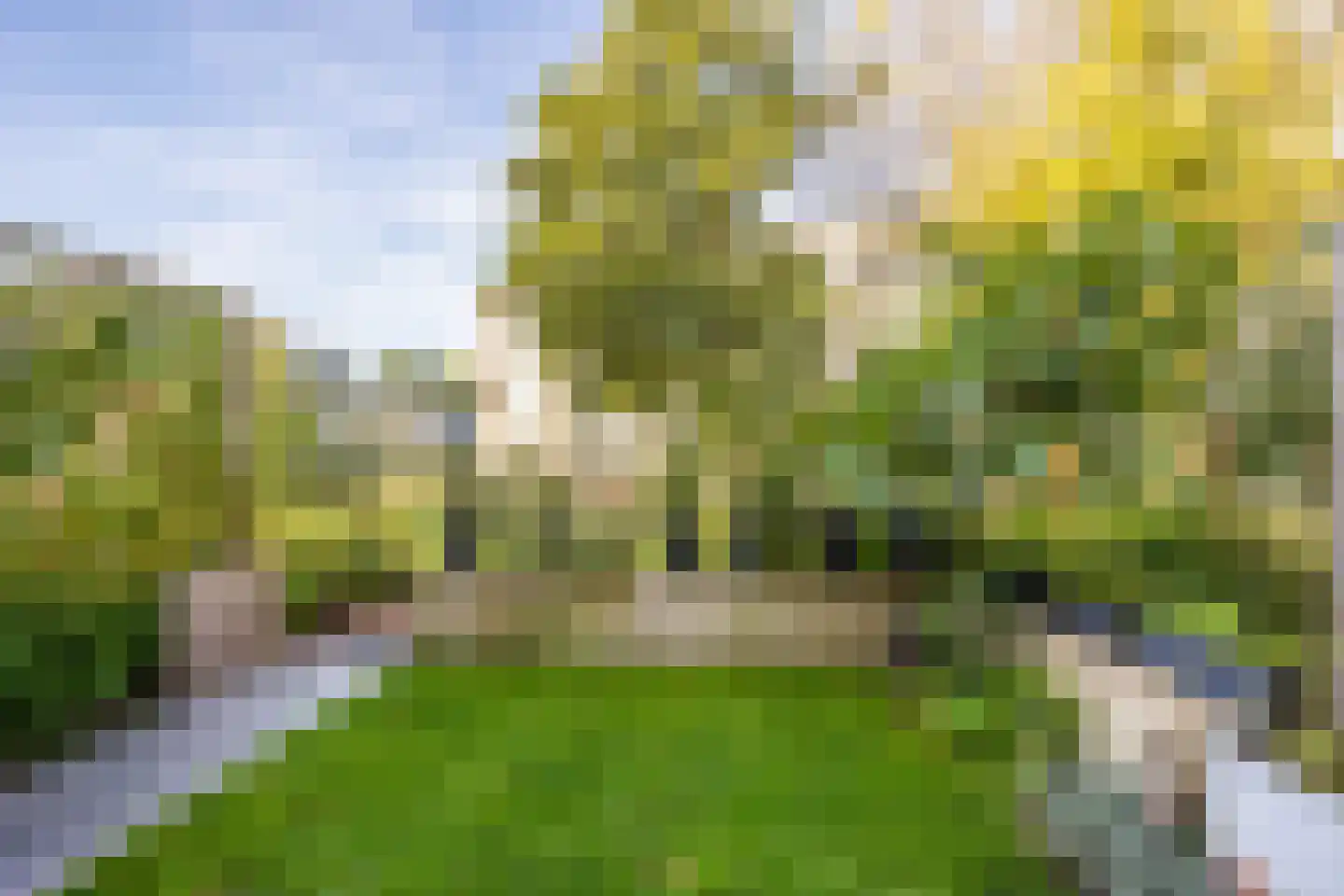 Larikslaan 4 t Leusden thumbnail 4