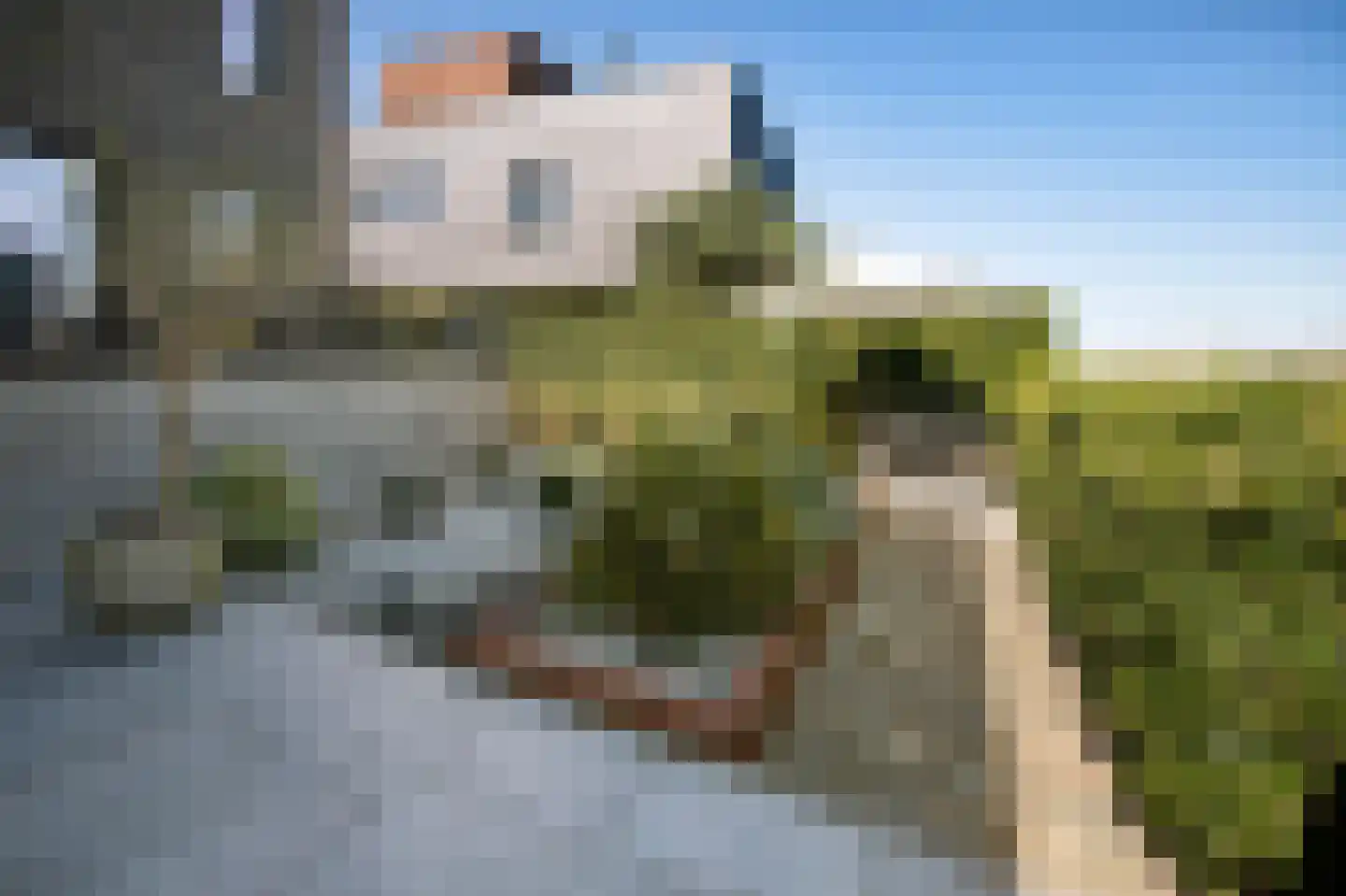 Larikslaan 49 Amsterdam thumbnail 17