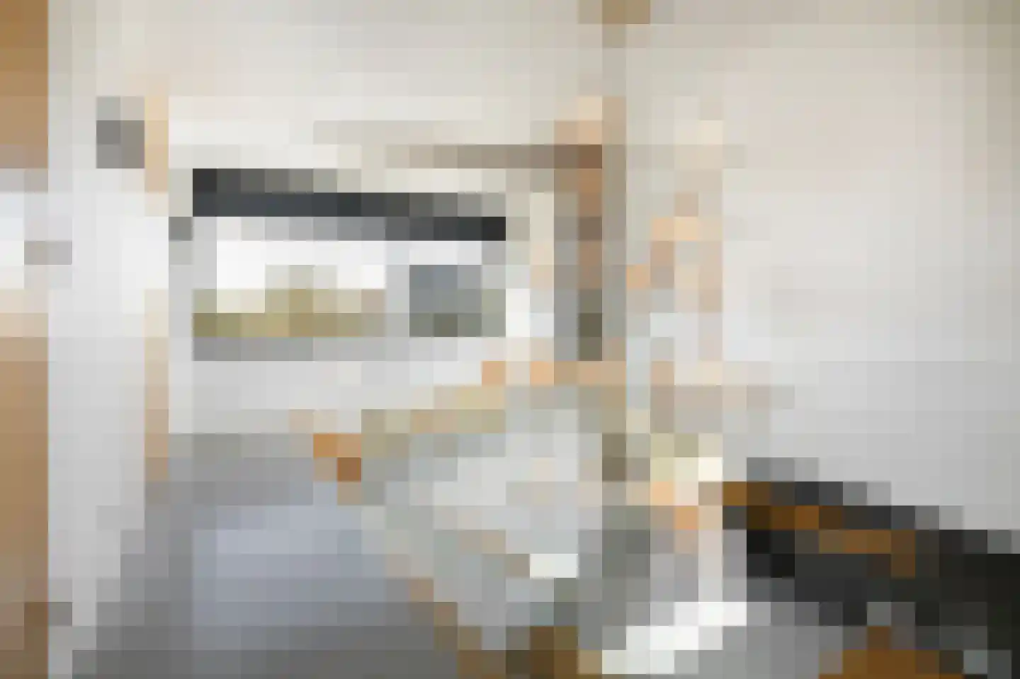 Larikslaan 49 Amsterdam thumbnail 29