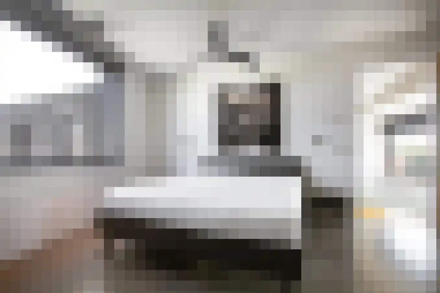 Larikslaan 49 Amsterdam thumbnail 31