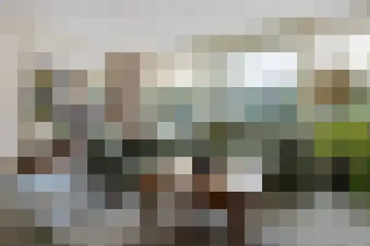 Larikslaan 5 Exloo thumbnail 13