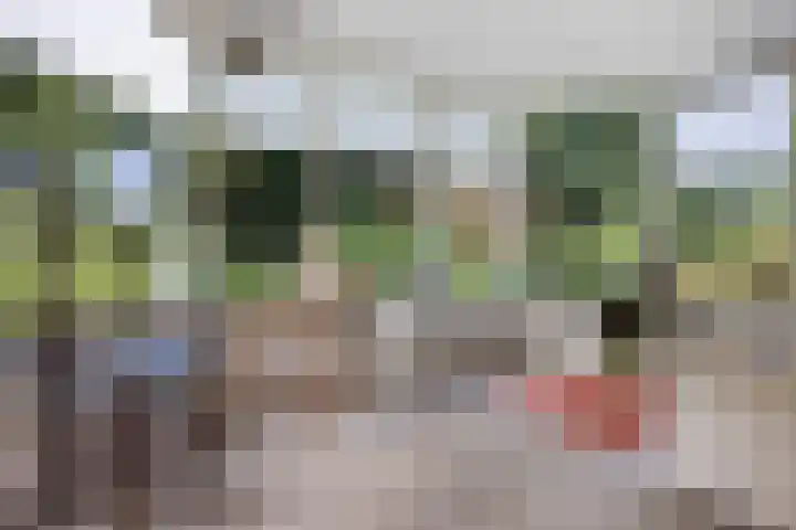 Larikslaan 5 Exloo thumbnail 14