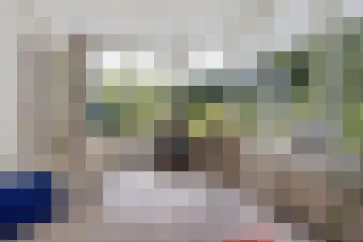 Larikslaan 5 Exloo thumbnail 15