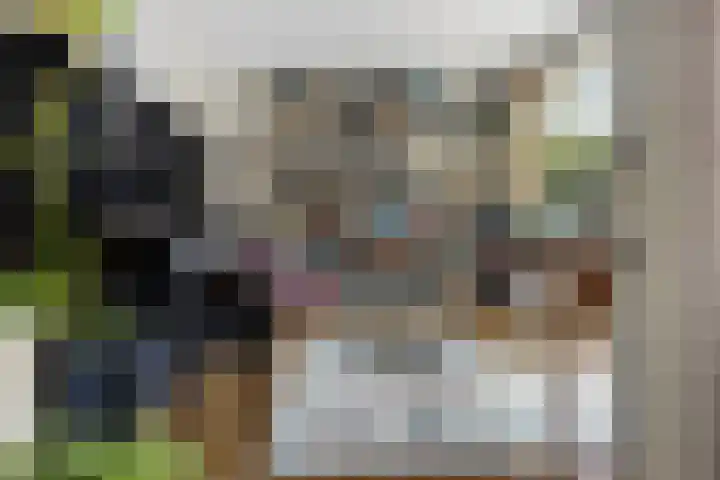 Larikslaan 5 Exloo thumbnail 18