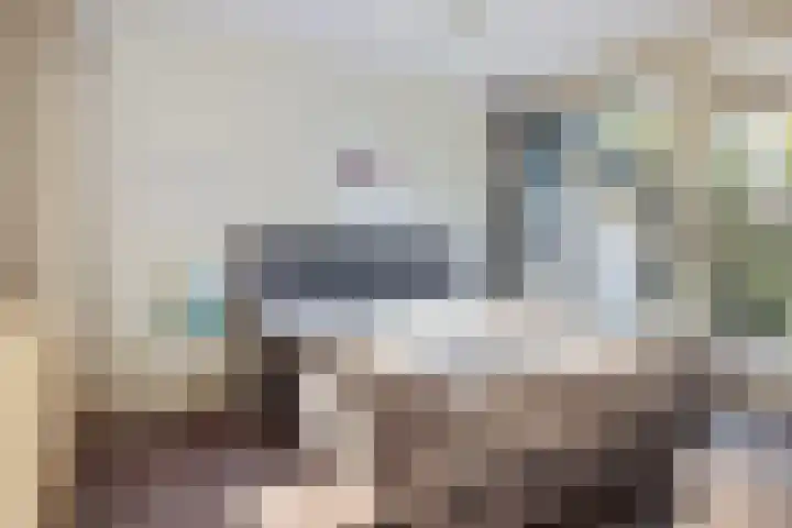 Larikslaan 5 Exloo thumbnail 22