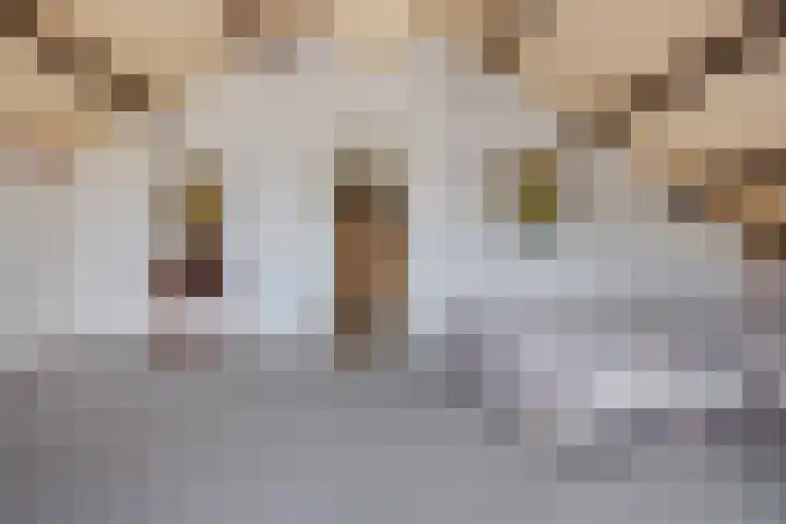 Larikslaan 5 Exloo thumbnail 27