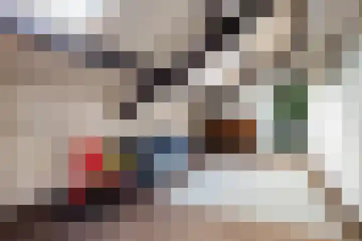 Larikslaan 5 Exloo thumbnail 29