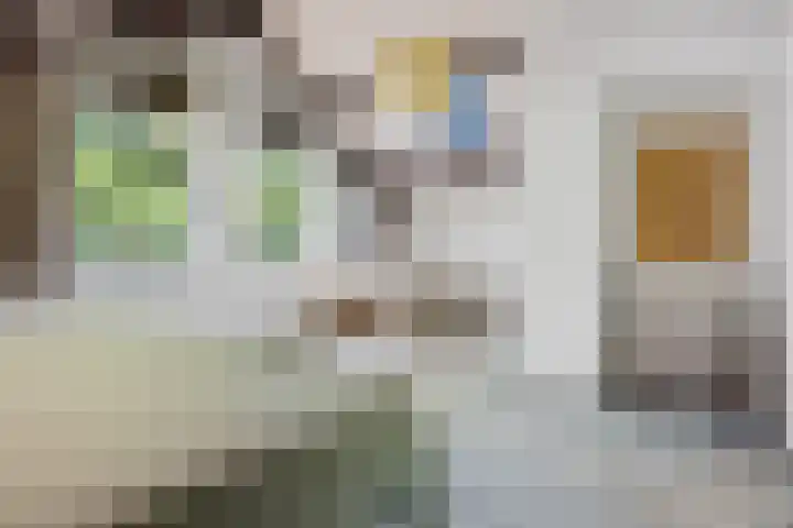 Larikslaan 5 Exloo thumbnail 31
