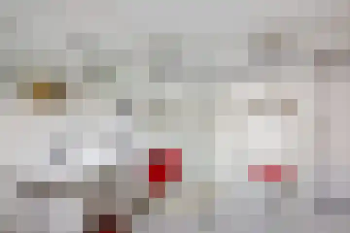 Larikslaan 5 Exloo thumbnail 34