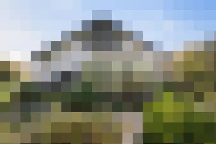 Larikslaan 5 Exloo thumbnail 35