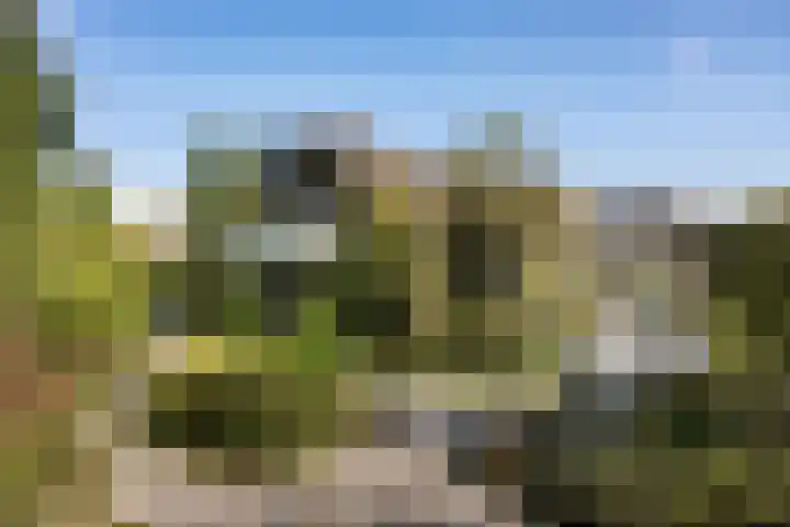 Larikslaan 5 Exloo thumbnail 36