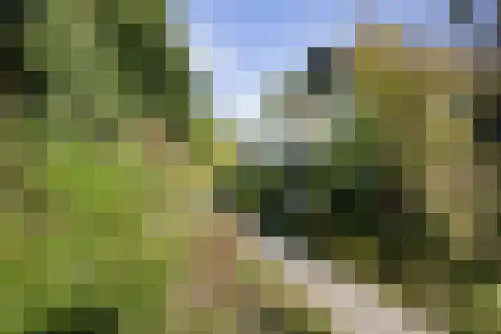 Larikslaan 5 Exloo thumbnail 37