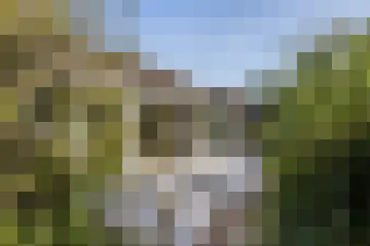 Larikslaan 5 Exloo thumbnail 38