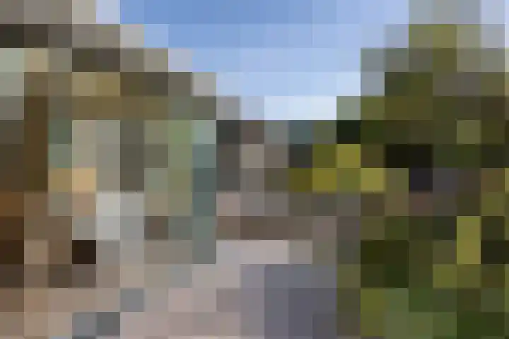 Larikslaan 5 Exloo thumbnail 39