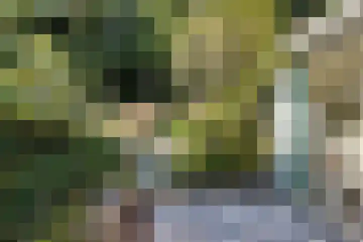 Larikslaan 5 Exloo thumbnail 40