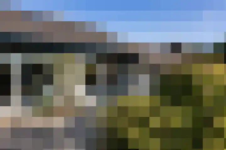 Larikslaan 5 Exloo thumbnail 41