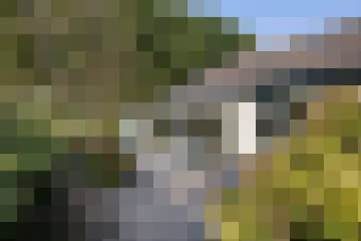 Larikslaan 5 Exloo thumbnail 42