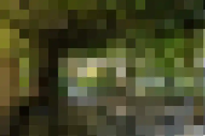 Larikslaan 5 Exloo thumbnail 44