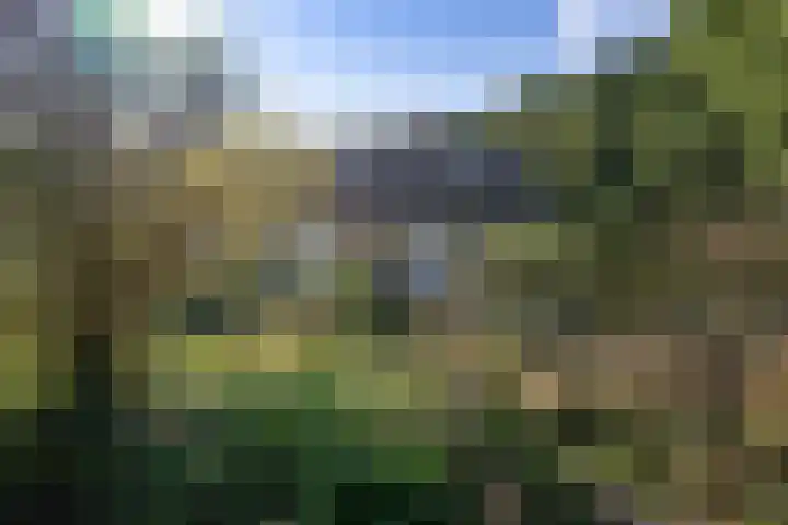 Larikslaan 5 Exloo thumbnail 46
