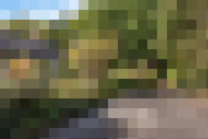 Larikslaan 5 Exloo thumbnail 47