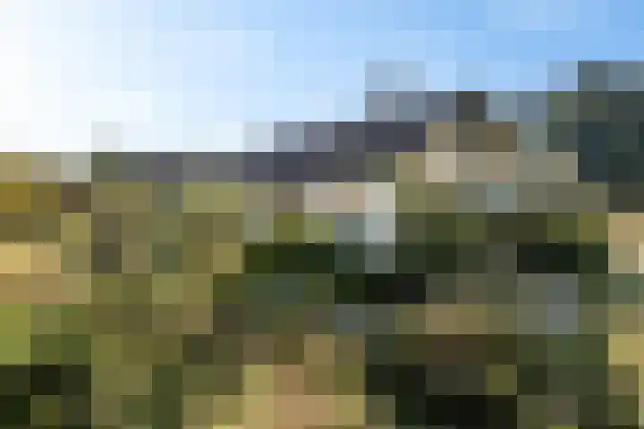Larikslaan 5 Exloo thumbnail 48